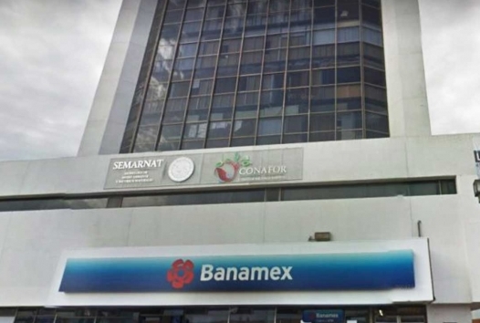 Gobierno Federal tiene sin sueldo a empleados de la CONAFOR