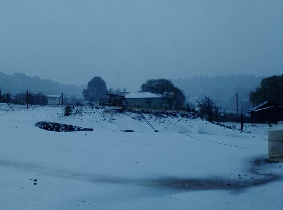 nieve