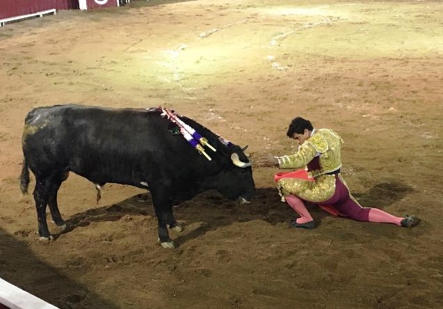 corrida de toros