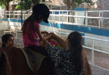 Recibirán equinoterapia gratuita niños de Educación Especial