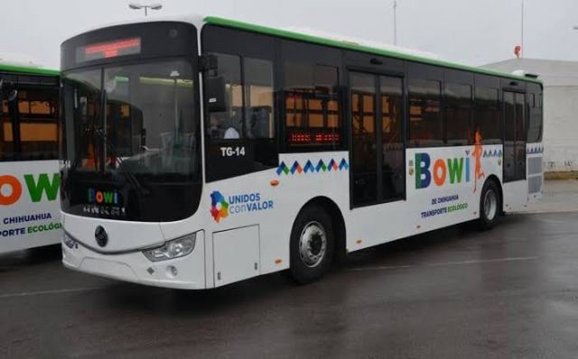 bowi