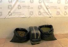 Aseguran en Balleza 35 kilos de marihuana
