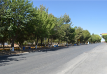 Trabaja Gobierno Municipal en mejoramiento de área verde en calle Río Yucatán