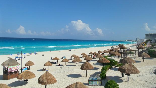 playa-delfines