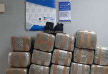 Asegura AEI 300 kilos de marihuana y mil cartuchos útiles