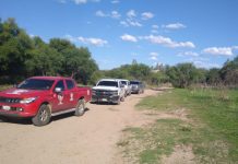 Despliega AEI Zona Sur operativo para prevenir el robo de ganado