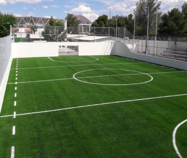 cancha empastada