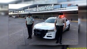 Combaten tráfico de animales en el aeropuerto 1 guardia nacional