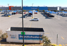 Instala Gobierno Municipal contenedores para árboles navideños naturales