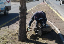 Mantiene Gobierno Municipal operativo diario de limpieza en parques y vialidades
