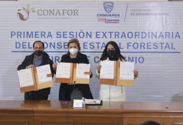 conafor