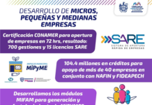 Fomento al desarrollo de micros, pequeñas y medianas empresas