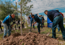 Reforestan parque “El Palomar”