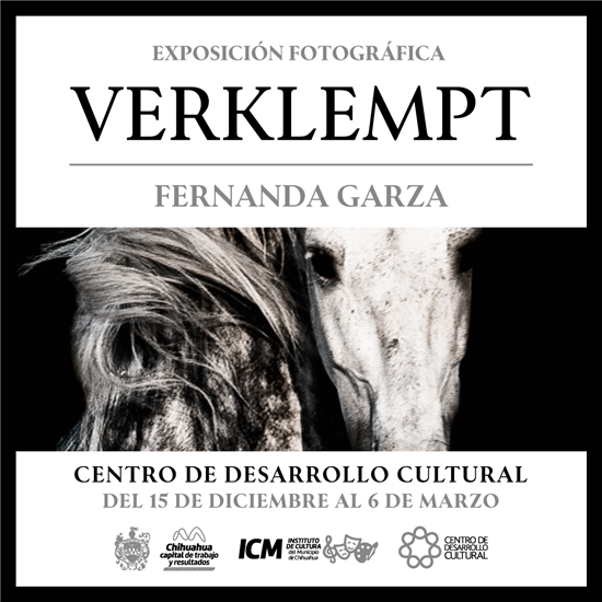 exposicion