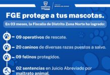 Rescató FGE a 29 animales de compañía en Juárez durante el primer trimestre de 2023