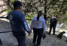 Mantiene Protección Civil Estatal operativo Semana Santa Segura