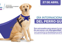 Conmemora Bien Común “Día Internacional del Perro Guía”