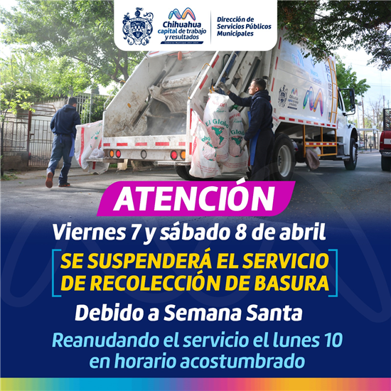 recolección