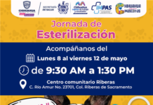 Llevará IMPAS nuevo consultorio móvil de esterilización a Riberas de Sacramento