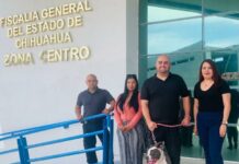 Recupera Fiscalía a “Luna”, mascota robada en la colonia Díaz Ordaz