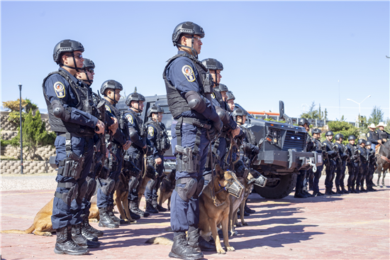 policía