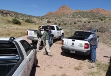 Brindarán SEDUE y autoridades municipales atención puntual a tiraderos clandestinos