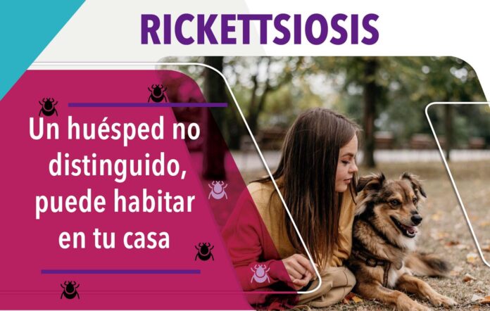 rickettsia