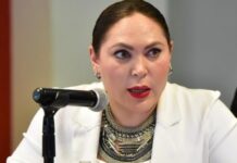 Aprueban promover la atención física y psicológica a madres que sufran de una muerte perinatal o neonatal