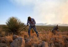 Promueven producción de sotol chihuahuense en la capital del país