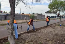 Introduce JMAS Meoqui red morada para riego en colonias de la cabecera municipal