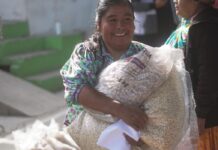 Acerca Estado servicios de salud, alimentación y atención jurídica a comunidades indígenas urbanas