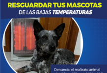 Emite Municipio recomendaciones para cuidar a mascotas del frio y cambios bruscos de temperaturas