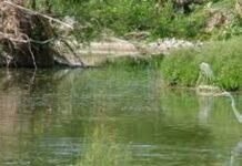 Empresa contratada por la Federación contamina el Río San Pedro en Satevó
