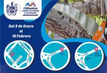 Coloca Municipio contenedores para depósito de ramas de poda
