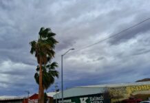 Bajarán temperaturas este fin de semana hasta los 5 centígrados