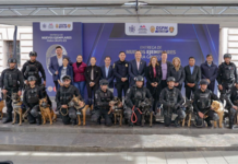 Integran al equipo de K-9 de la Policía Municipal a siete agentes policiales caninos