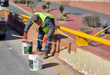 Realizan trabajos de pintura en bajo puente de La Cantera y Periférico De la Juventud