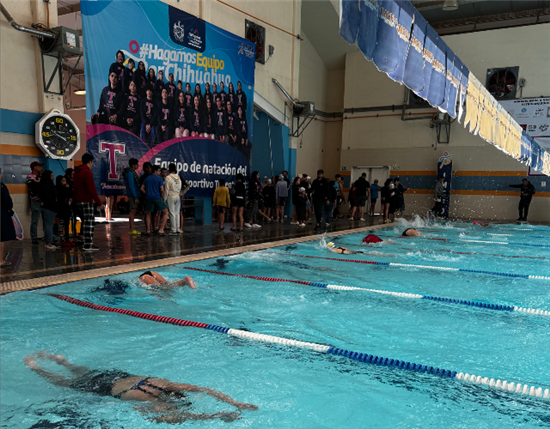 Natación