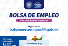 Conoce la Bolsa de Empleo del Gobierno Municipal