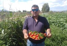 Promueve Estado la instalación de huertos familiares a través del programa “Cultiva la Vida”