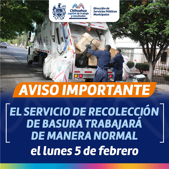 recolección basura