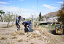 Más de 3 mil toneladas de basura limpió Municipio en arroyos del sur de la ciudad este 2024