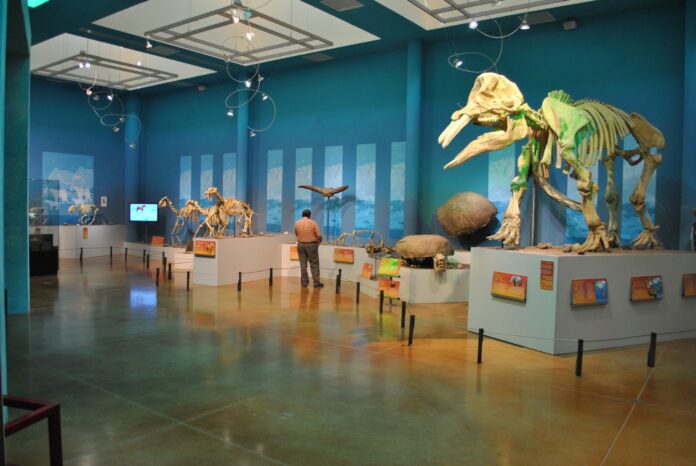 museo del desierto