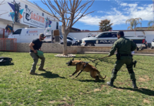 Certifican a nuevos policías del K9 y sus canes en “Desarrollo y Utilidad del Perro Operativo”