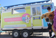 Conoce las colonias dónde podrás esterilizar a tu mascota durante el mes de abril