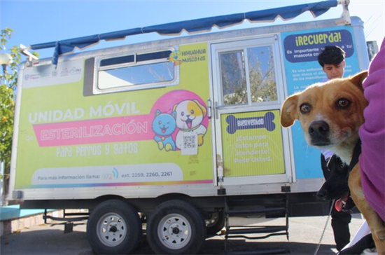esterilización