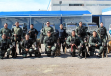 Son perros policía grandes aliados para la seguridad de los chihuahuenses