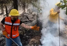 Impartirán curso para prevenir, detectar y combatir incendios en la Sierra Tarahumara