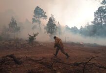 Trasladan equipo operativo en apoyo a autoridades municipales ante incendios forestales en Bocoyna