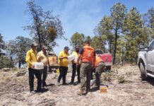Responde CEPC con traslado de apoyos ante incendio forestal activo en Guachochi